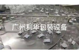 開心果，碧根果，巴達(dá)木，罐裝包裝生產(chǎn)線