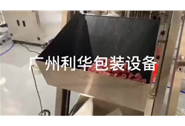牛肉，雞肉，羊肉罐頭等肉類罐裝包裝生產(chǎn)線