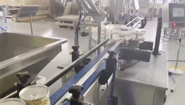 半自動(dòng)抽真空充氮封罐機(jī)