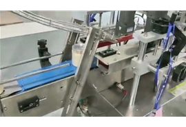 單頭伺服抓旋旋蓋機(jī)